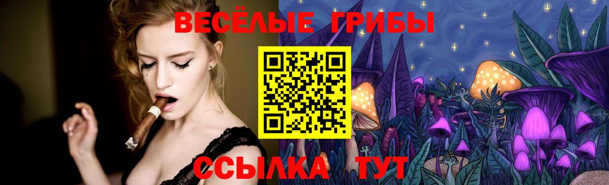 Псилоцибиновые грибы Magic Shrooms  Вход с VPN  Мичуринск 
